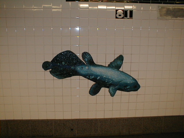 Fish on 81st Street IND uptown platform