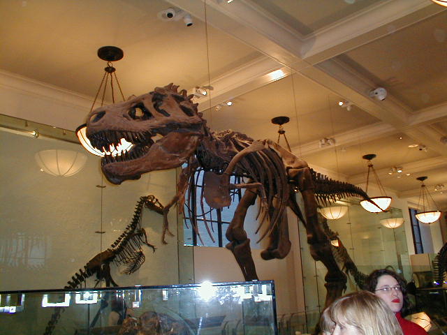 T-Rex