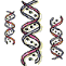 DNA