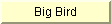 Big Bird